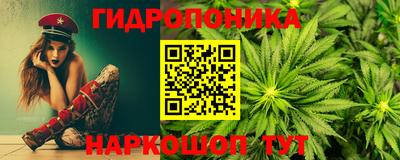 ешки Бийск