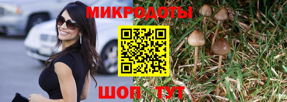 Когалым  Галлюциногенные грибы Magic Shrooms  Вход с VPN  Псилоцибиновые грибы Magic Shrooms 